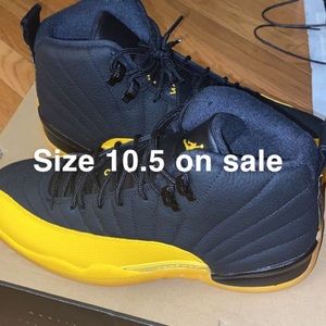 Jordan 12 gold and black university